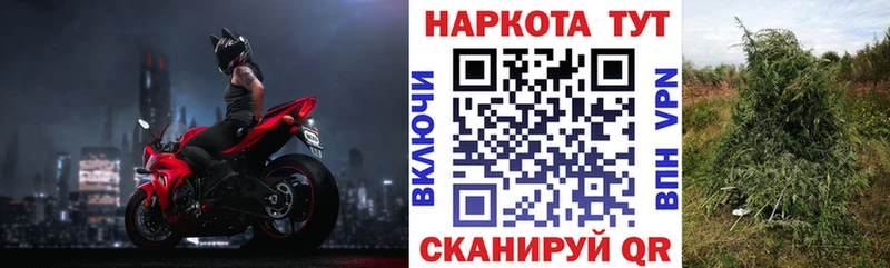 Наркошоп купить Каннабис  СОЛЬ  Галлюциногенные грибы  АМФ  Мефедрон  ГАШИШ  Пойковский