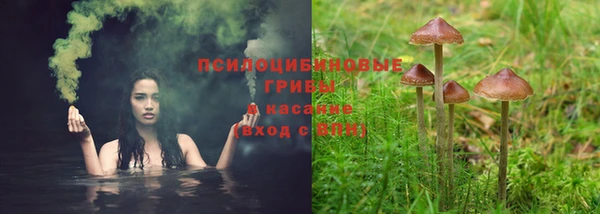 spice Козельск