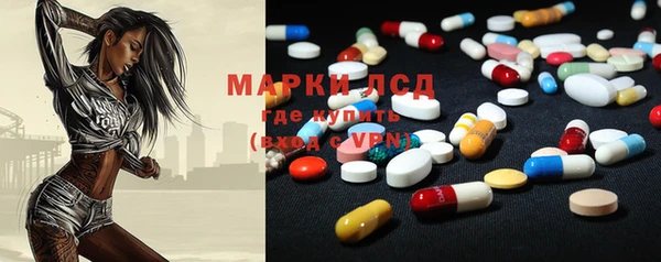 прущие грибы Костерёво