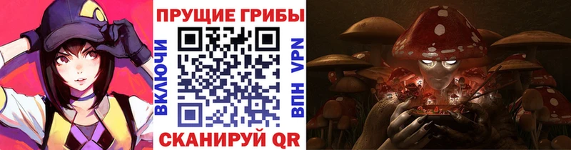 Купить закладки  Пойковский  Псилоцибиновые грибы MAGIC MUSHROOMS